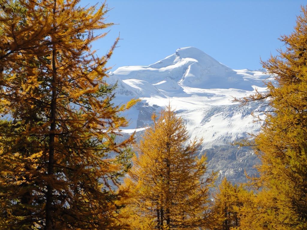 Haus Holiday Saas-Fee Room photo