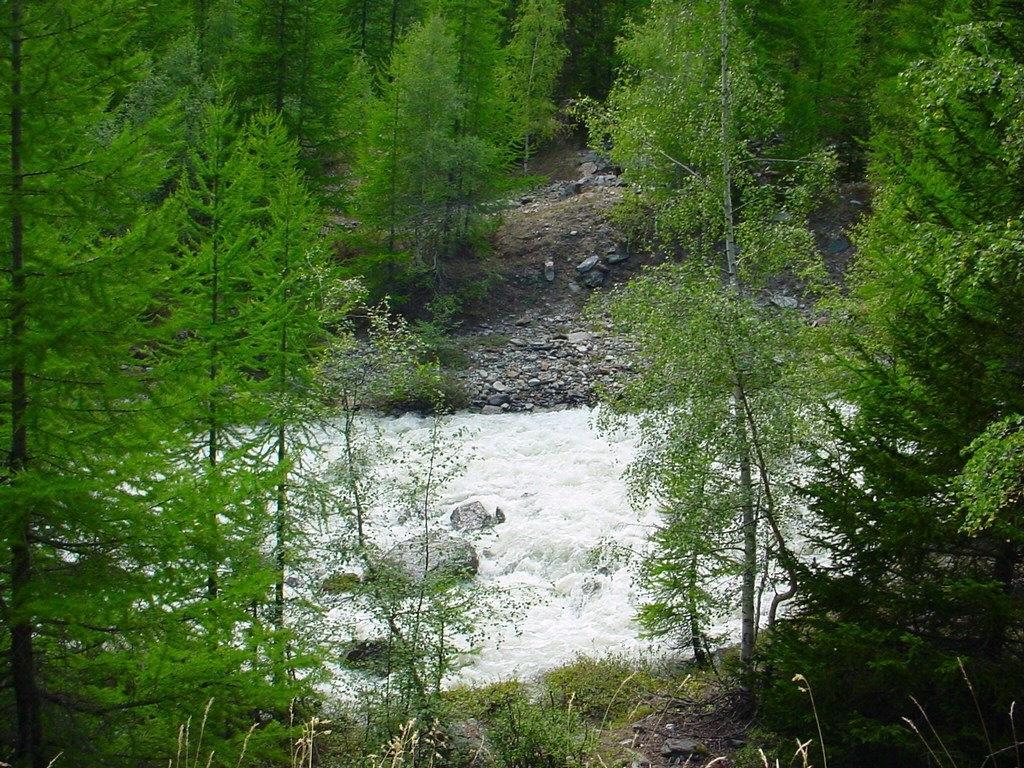 Haus Holiday Saas-Fee Room photo